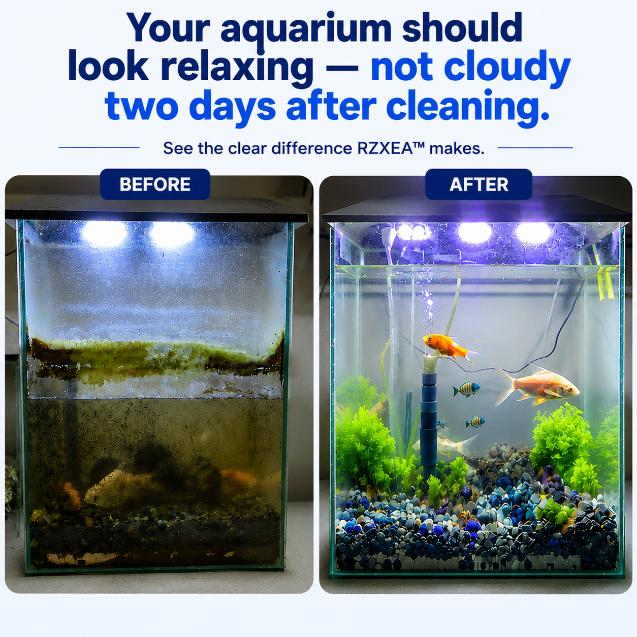 RZXEA™ ClearTank Bio-Balance Effervescent Tablets⏱️ Zero-Hassle Tank Clean!