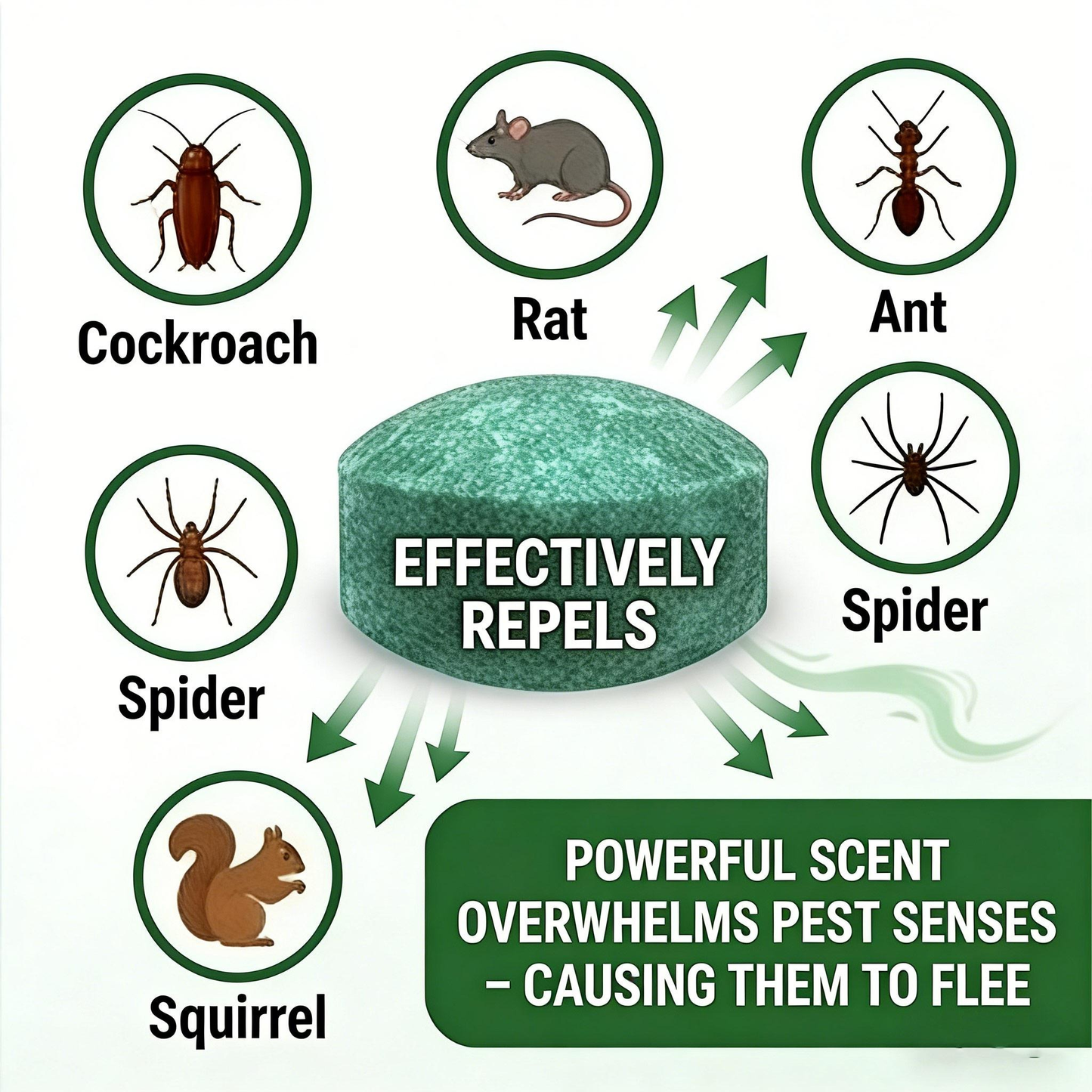RZXEA™ 💥LAST DAY SALE 50%OFF💥🟢 Natural Peppermint Rodent Repellent Tablets – 10 Pack