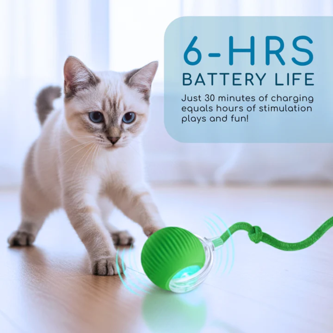 Petiblet™ Smart Bionic Prey Ball❌ Cure Cat Boredom!