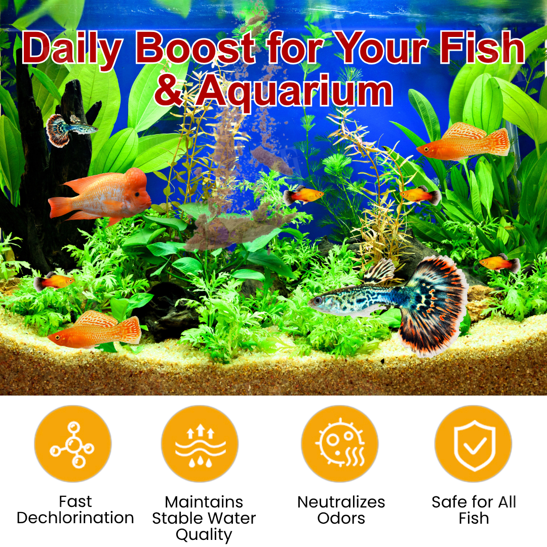🌟 Official Store |Few Stocks Available🔥Hot Sale - 50% OFF🌿AEXZR® AquaImmune Pro