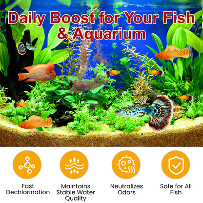 🌟 Official Store |Few Stocks Available🔥Hot Sale - 50% OFF🌿AEXZR® AquaImmune Pro