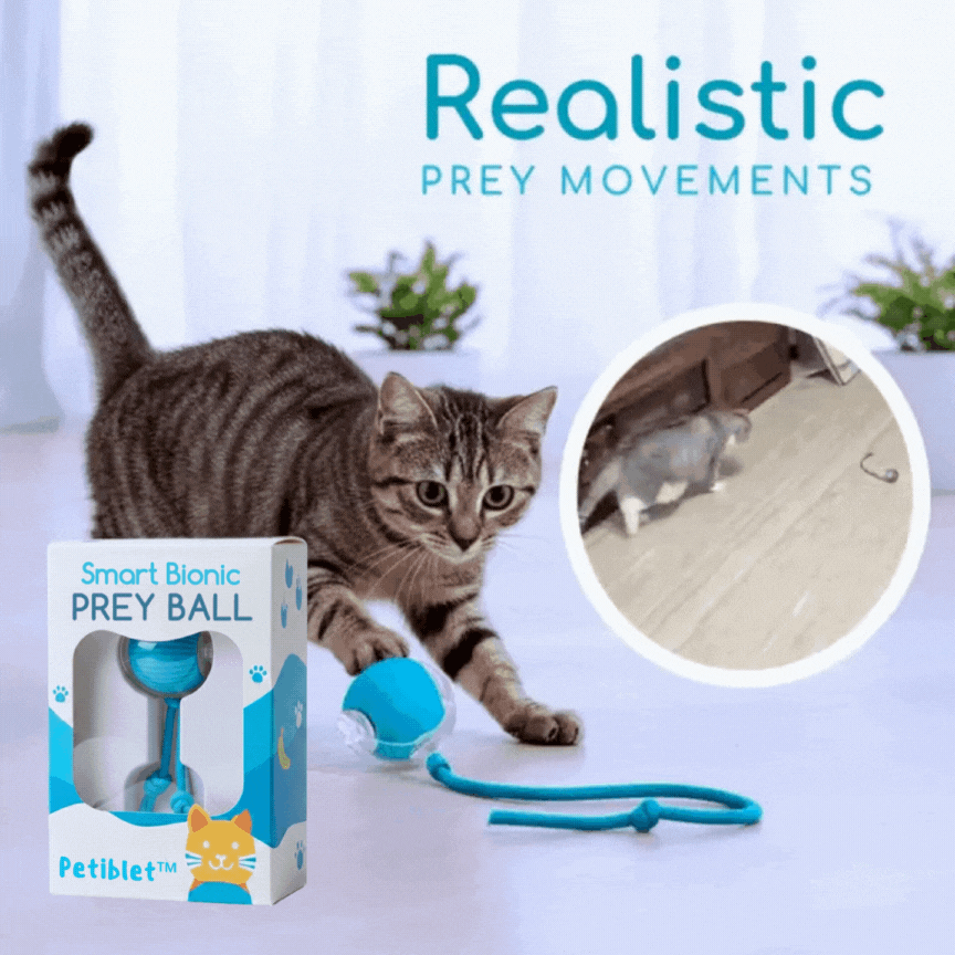 Petiblet™ Smart Bionic Prey Ball❌ Cure Cat Boredom!