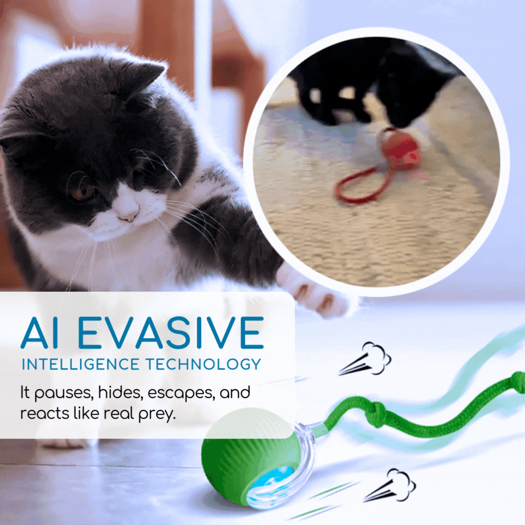 Petiblet™ Smart Bionic Prey Ball❌ Cure Cat Boredom!