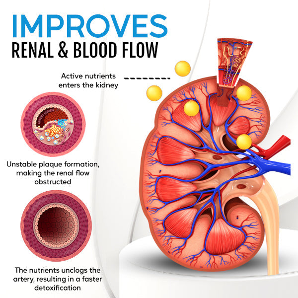 🌟 Last 12pcs | Cvreoz® Kidney Boost & Care Inhaler✅ Say Goodbye to Kidney Problems and Hello to Healthier Kidneys!