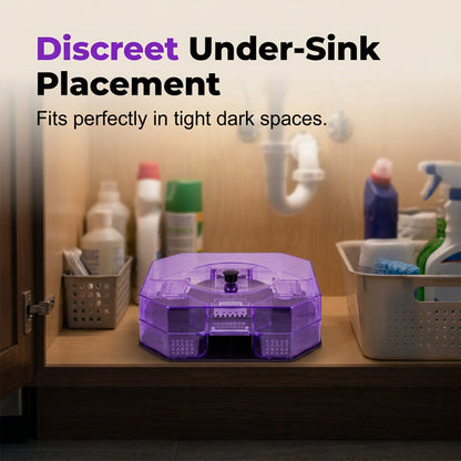 Limited Stock!!! AEXZR® Reusable Effective Roach Trap